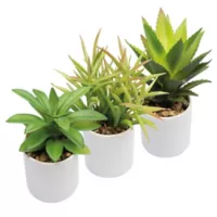 Plantas Artificiales Decorativa Maceta Ceramica Set de 3