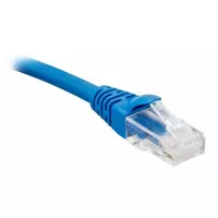 Nitrotel Cable de Red Patchcord Categoría 6a de 30.5 cm Set por 10 Unds