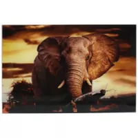 Cuadro En Vidrio 60 x 40 cm Sabana Africa Elefante Just Home Collection