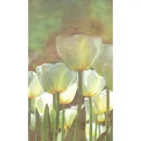 Fotomural Tulipan Blanco
