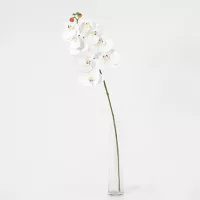 Vara Artificial Orquídea Blanca 78cm